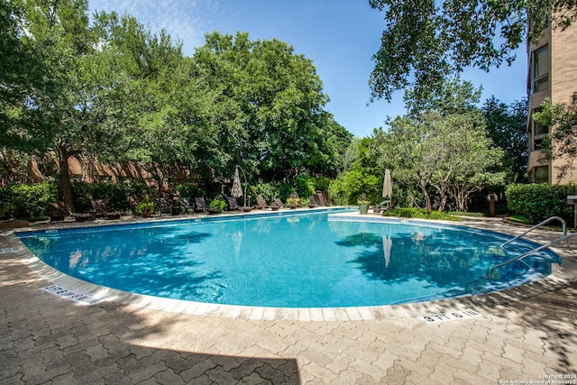 view of swimming pool