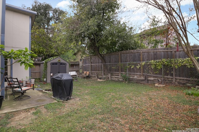 view of yard with a patio and a storage unit