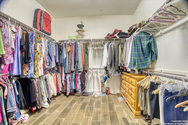 spacious closet with hardwood / wood-style floors