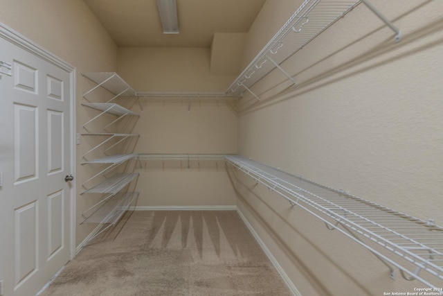 walk in closet with carpet floors