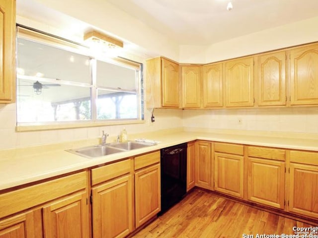 kitchen with dishwasher, ceiling fan, sink, and light hardwood / wood-style flooring