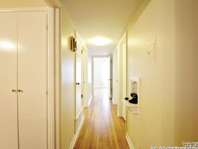 corridor featuring light hardwood / wood-style flooring