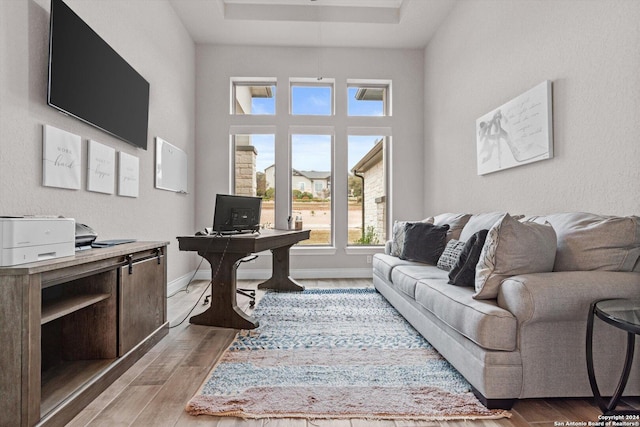 office area with a raised ceiling and light hardwood / wood-style flooring