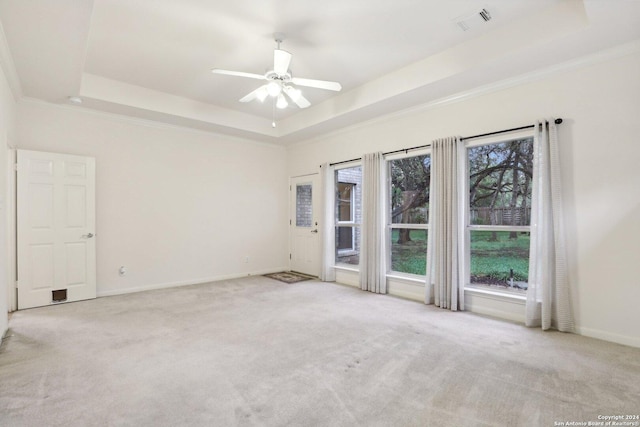 empty room with light carpet and a tray ceiling