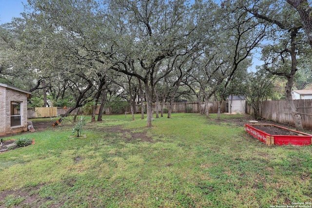 view of yard featuring a storage unit