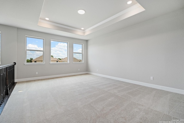 carpeted spare room with ornamental molding and a tray ceiling