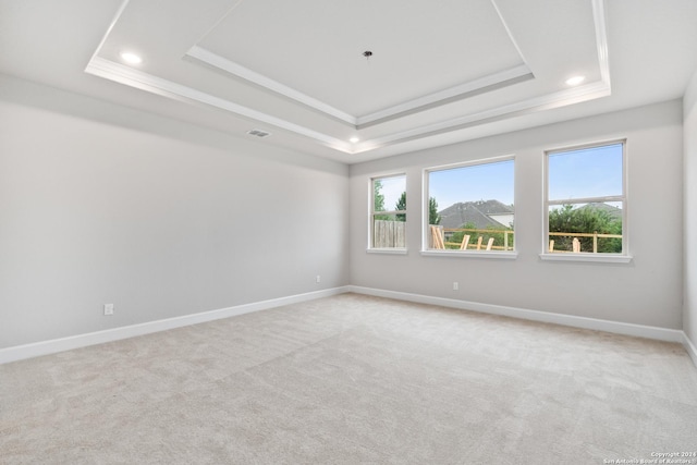 empty room with a raised ceiling and light colored carpet