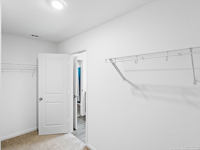 walk in closet with light carpet