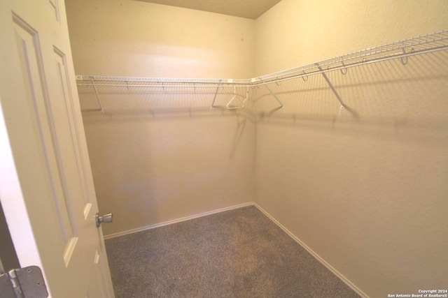 walk in closet featuring carpet flooring