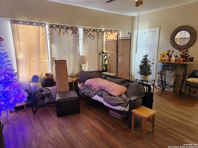 bedroom featuring wood-type flooring