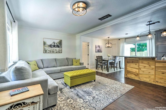 living room with a textured ceiling, dark hardwood / wood-style floors, an inviting chandelier, and crown molding