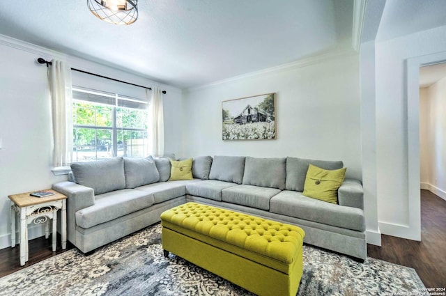 living room featuring dark hardwood / wood-style floors and ornamental molding