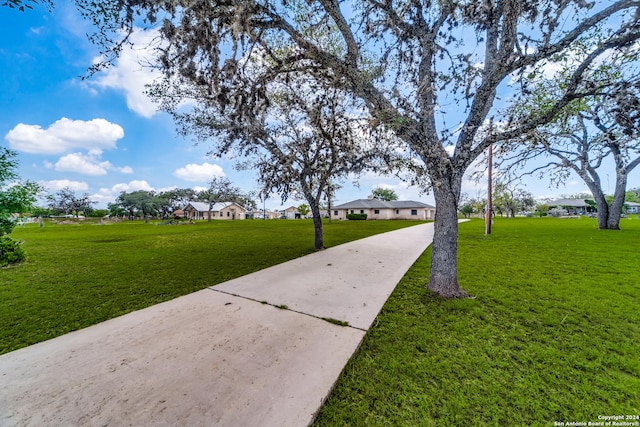 view of community with a lawn