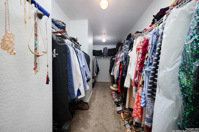 walk in closet featuring carpet