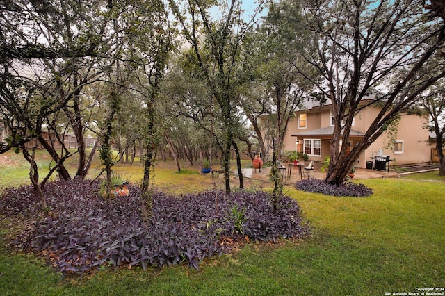 view of yard with a patio area