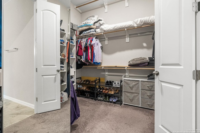 walk in closet with carpet floors