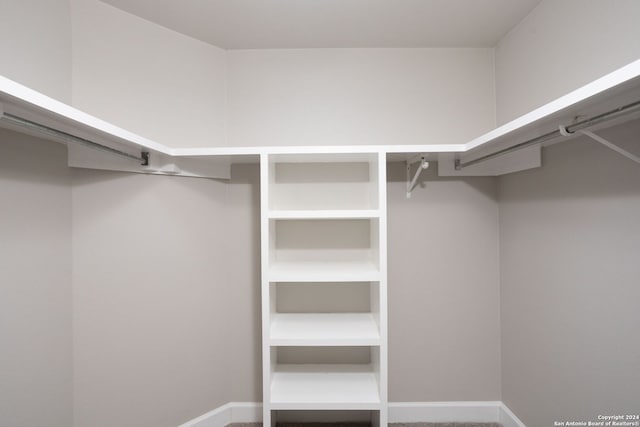 view of walk in closet