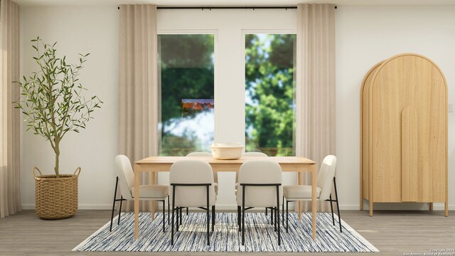 dining room featuring hardwood / wood-style floors