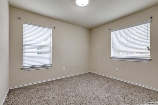 spare room featuring carpet floors