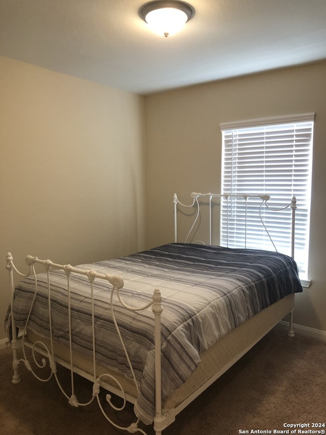 carpeted bedroom with multiple windows