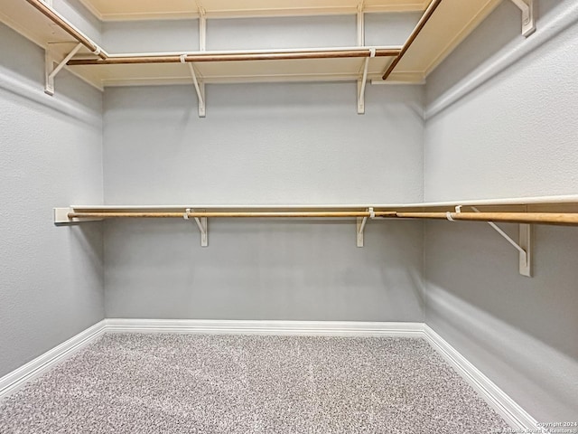 spacious closet with carpet floors