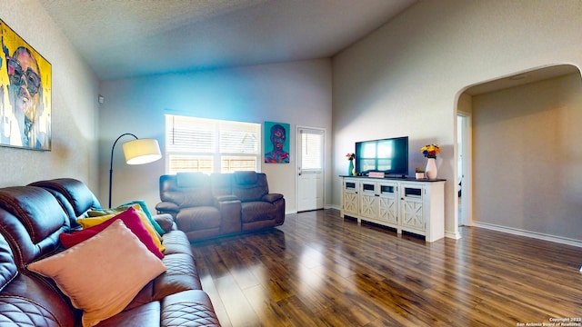 living room featuring dark hardwood / wood-style floors, a textured ceiling, and high vaulted ceiling