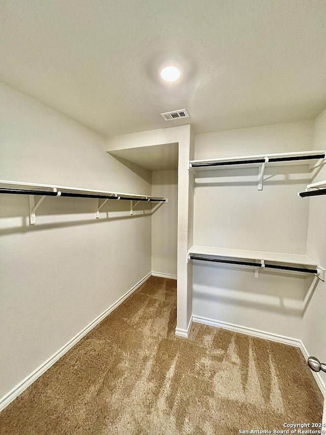 spacious closet featuring carpet flooring