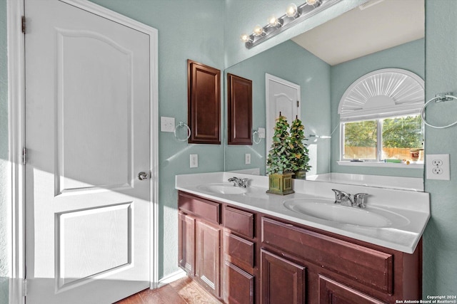 bathroom with hardwood / wood-style flooring and vanity