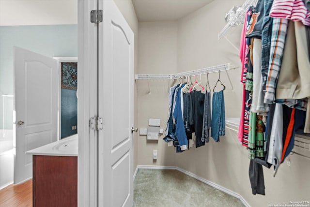 spacious closet featuring light carpet