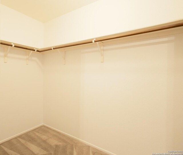 walk in closet featuring carpet flooring