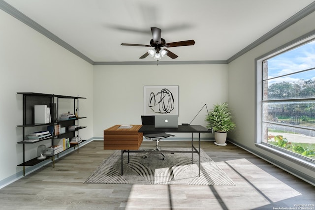 office space featuring a healthy amount of sunlight, wood-type flooring, and ornamental molding