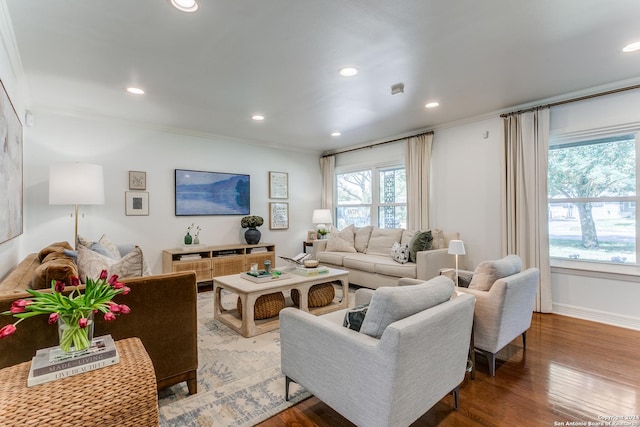 living room featuring crown molding and wood-type flooring