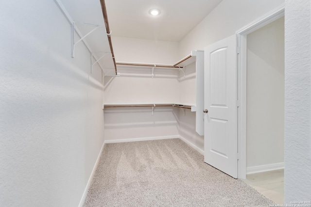 142 Ashley Loop, San Antonio, TX 78253 - walk in closet featuring carpet flooring