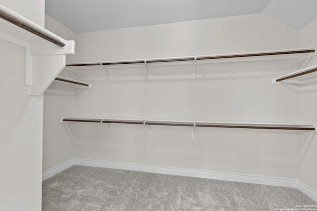 11423 Buffalo Bill, San Antonio, TX 78254 - walk in closet featuring carpet floors