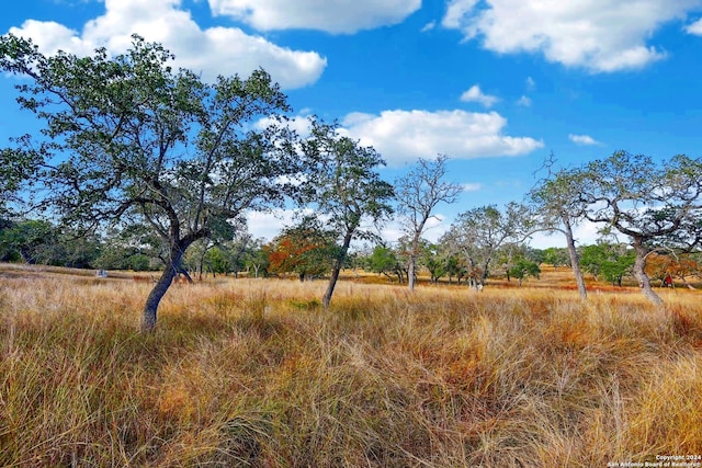 view of landscape with a rural view