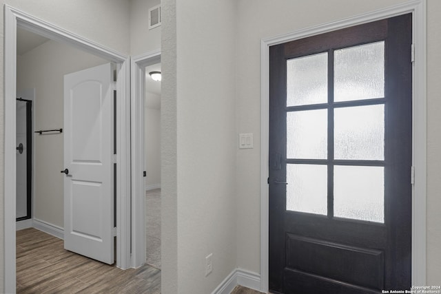 foyer entrance featuring a healthy amount of sunlight and hardwood / wood-style flooring