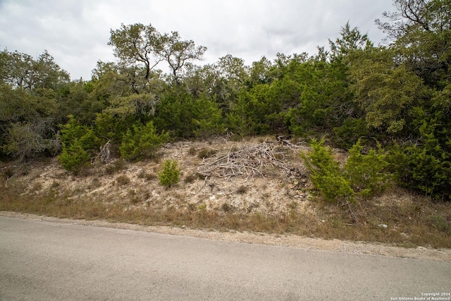 566 Contour Dr, Canyon Lake, TX 78133