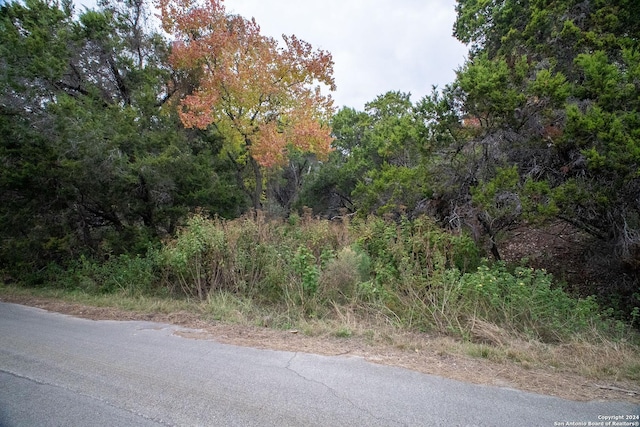 566 Contour Dr, Canyon Lake, TX 78133