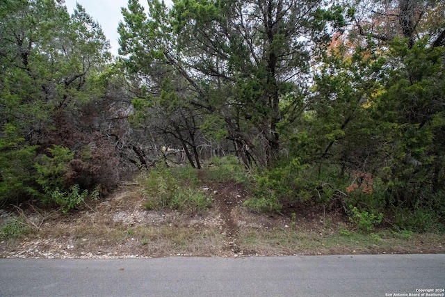566 Contour Dr, Canyon Lake, TX 78133