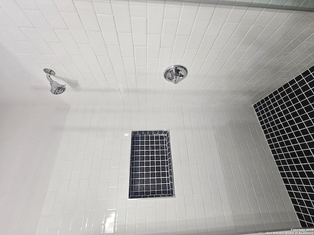 details with tiled shower