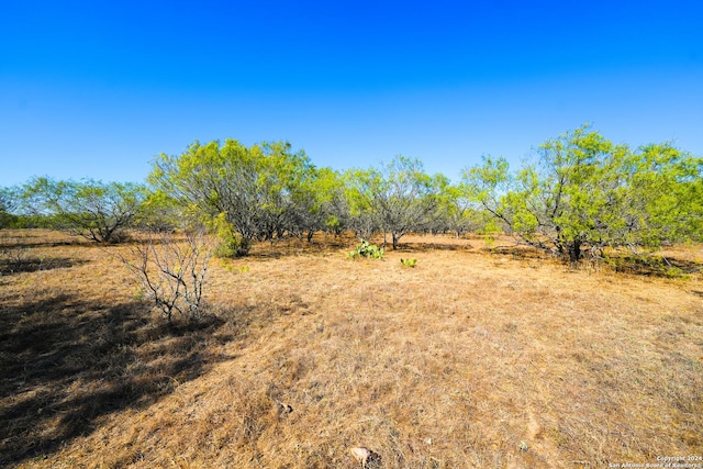 view of yard featuring a rural view