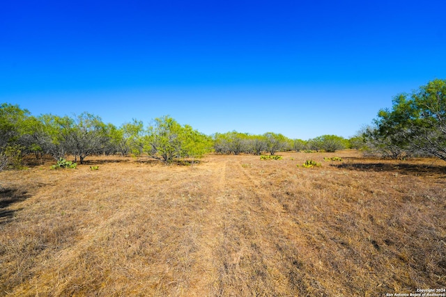 view of yard featuring a rural view