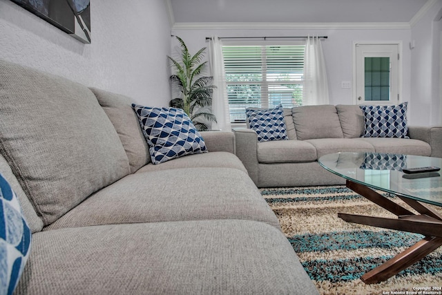 living room with ornamental molding