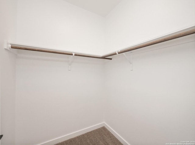 spacious closet with carpet floors