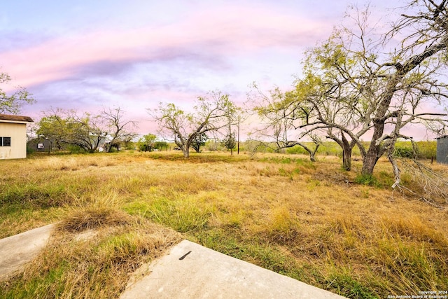 view of yard at dusk