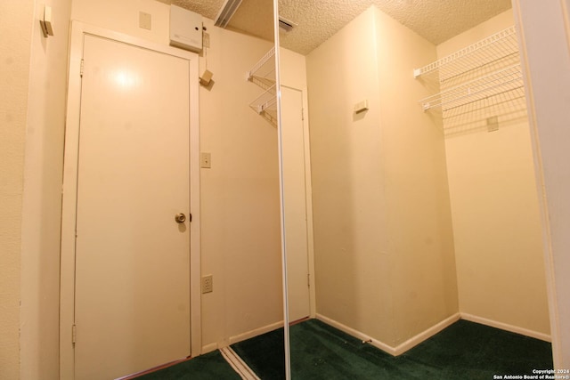 spacious closet featuring carpet floors