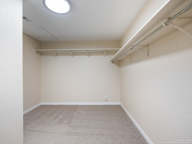 walk in closet with carpet