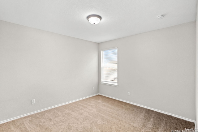 empty room featuring carpet