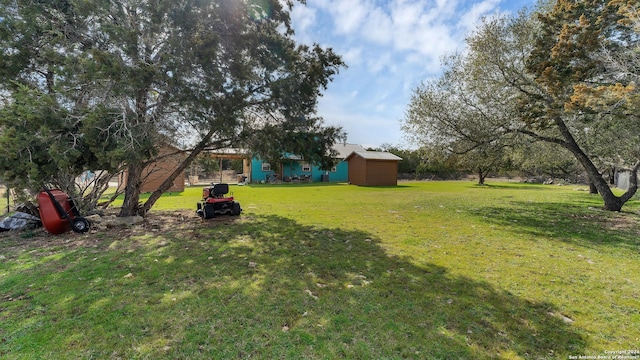 view of yard with a shed