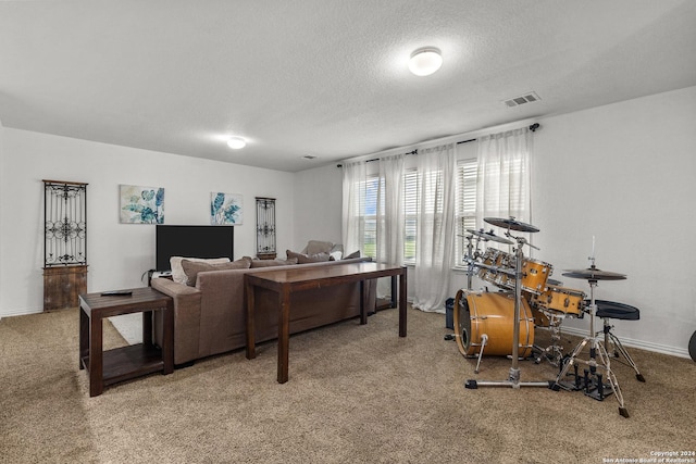 living room with carpet flooring and a textured ceiling